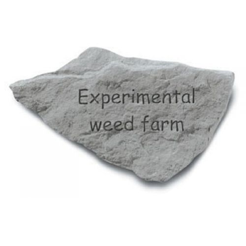 Experimental Weed Farm All Weatherproof Cast Stone - 707509911201 - 91120