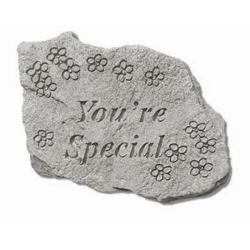 You re Special All Weatherproof Cast Stone Appreciation Garden Rock - 707509789206 - 78920