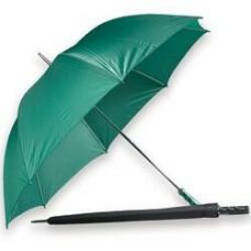 Coachman's Umbrella