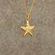 Starfish Keepsake Jewelry Pendant -  - 887028