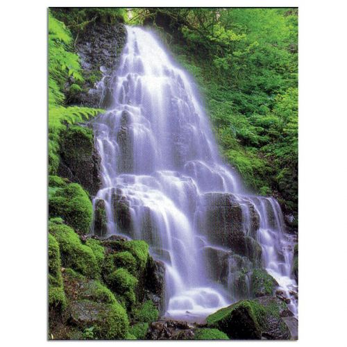 Waterfall Service Record -  - 557811