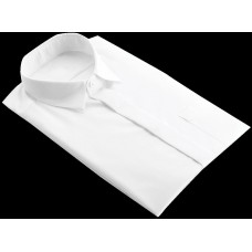 Men's Dress Shirt
