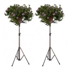 Combination Stands