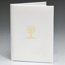 Jewish Menorah Series