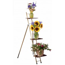Ladder Racks