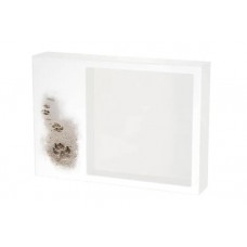 Remembrance Shadowbox - Pawprints in the Sand 70 cu. in.