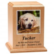 Premier Texture Photo Cremation  Urns