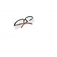 Protective Eyewear-Clear/AntiFog
