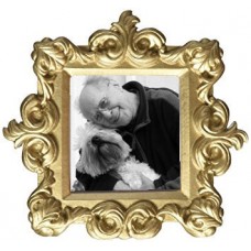Royale Baroque Photo Frame Applique for Urn