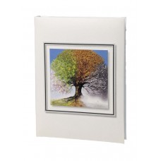 Seasons Series