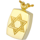 Cremation Jewelry: Star of David Pendant -  - 3143