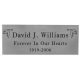 Engraved Pet Memorial Urn Plaque - Large Silver Finish Black Fill -  - LSP-7003black