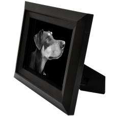 Framed B&W Pet Memorial Portrait