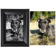 Framed B&W Pet Memorial Portrait -  - 5x7bwpet or 8x10bwpet