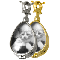 Pet Memorial Jewelry: Glass Teardrop Locket (not for ashes) Pendant