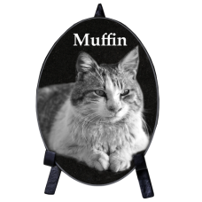 Pet Photo Engraved Black Marble Oval