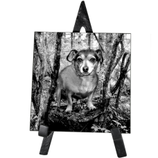 Pet Photo Engraved Black Marble Square