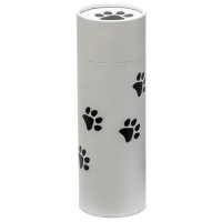 Pawprint Scattering Ashes Tube Midsize - 9"H