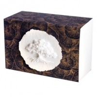 Floral Biodegradable Water Burial Urn Dark Colored Box
