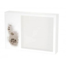 Shadowbox Pet Urn Paws in Sand