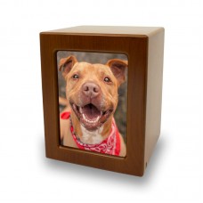 Honeynut Pet Photo Cremation Urn - 80 cubic inch capacity