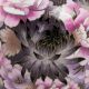 Floral Blush Cloisonne Cremation Urn - Large -  - C105L