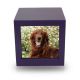 Violet Photo Cube Cremation Urn - Medium -  - CMPC15-85