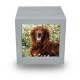 Silver Photo Cube Cremation Urn - Medium -  - CMPC16-85