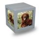Silver Photo Cube Cremation Urn - Medium -  - CMPC16-85