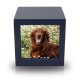 Navy Photo Cube Cremation Urn - Medium -  - CMPC17-85