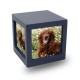 Navy Photo Cube Cremation Urn - Medium -  - CMPC17-85