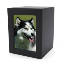 Graphite MDF Pet Photo Cremation Urn - Medium