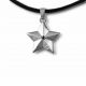 Star Cremation Pendant - Sterling Silver -  - P16-378