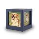Navy Photo Cube Cremation Urn - Extra Small -  - CMPC17-25