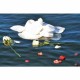 Laguna Water Burial Urn for Group Ceremony/ Pets -  - 44674