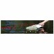 Pearl Blue Bio Companion Urn -  - 37920