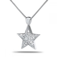 Star Bright Steel Cremation Chamber Pendant Necklace